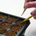 Lids 12 Cells Seed Starter Tray Plastic Seed Propagator Tray Set. 
