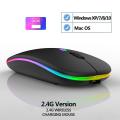 HP W10 Wireless RGB Bluetooth, Wireless, Rechargeable Slim Mouse. 