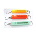 Mini 5 Kg Fish Hook Weight Scale Pocket Weighting Hanging Scale Pocket Size Small hook Scale. 