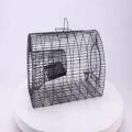 Mouse / Rat Trap PAKARNY WLA PINJARA. 