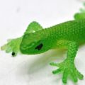 Realistic Rubber Lizard Crib Toys. 