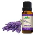 chiltanpure-Lavender Essential Oil – Best for Dry Skin & Treating Wrinkles. 