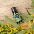 Cannabis Essential Oil, 100% Pure Therapeutic Grade (Undiluted Natural/Homeopathic Aromatherapy Scented Essential Oil Singles). 