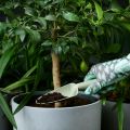 Ikea Gardening Pack Set of 3 Pcs. 