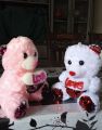 Teddy bear (9 inches). 
