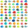 20Pcs Tropical Fish Figure Play Set with Plastic Fish Toys Small Plastic Fish Assorted Fishes Baby Bath Toy BruberryBe. 