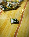Pakistan Badge ( 6 Pieces) Premium Quality Badge For Pakistani In Very Low Price. 