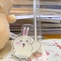 Stationery Item 15cm Chiikawa Ruler Measuring Function Drawing Tool Hachiware Ruler Anime Design Anime Ruler School. 