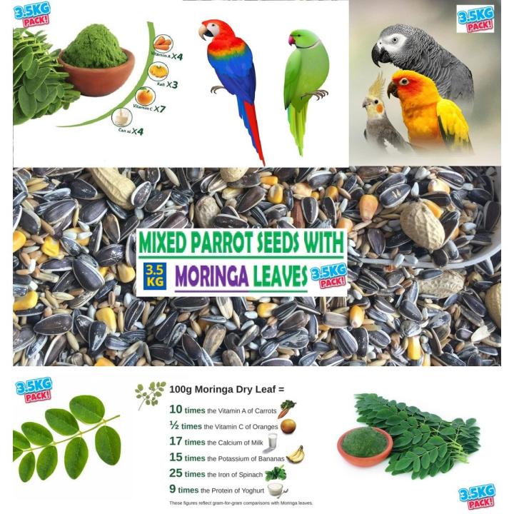 3.5KG Special Treat, Seed Mix Feed with moringa leaves For Large Parrots African Grey Parrot, Macaw, cockatoo Alexandrian parakeet, RAW, Pahari Totta and Other, Parrot Treat & Parrot Blend