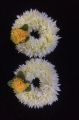 Bridal Artificial Flower Jewellery Set For , Mendhi, and Multi function. 