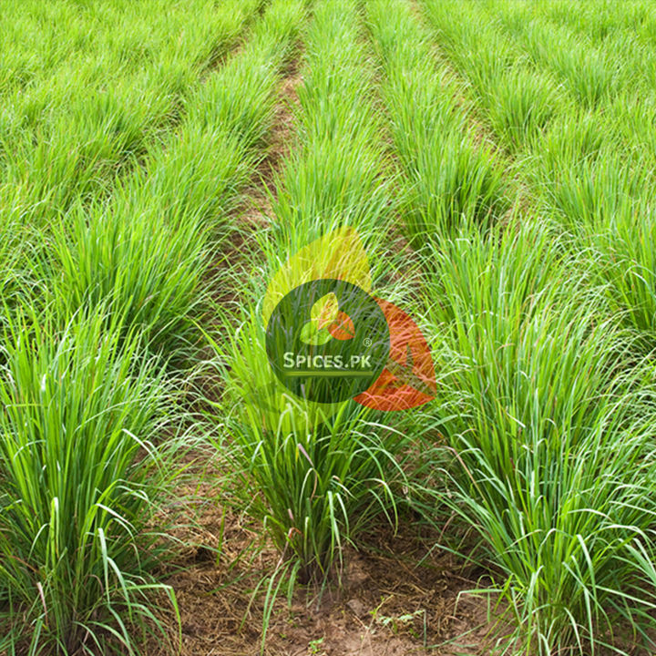 Lemon%20Grass%20Tea%20245g%20-%20Premium%20Lemon%20Grass%20Kahwa%20-%20Natural%20Herbal%20Green%20Tea%20for%20weight%20loss%20-%20Image%207