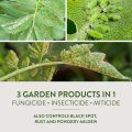Neem Oil Spray for Plants - Miticide 3 in 1 - Pure organic for kitchen gardening - Moji Mall. 