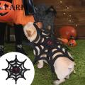Pet Spider Web Halloween Costume Halloween Spiderwebs Pet Costume Eye-catching Adjustable Fastener Tape Dogs Cats Supplies Halloween Pet Costume Spider Web. 