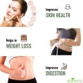 Shudh Online Harad powder, Haritaki, Inknut powder, Haralu (100 grams), Harar, Karakkaya, Kaudukai, Terminalia Chebula for Weight loss, Digestion. 