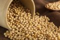 Hunza Organic Soybeans. 