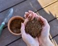 House Plant and Tropical Plant Potting Soil, Re-Potting Soil for All Types of Indoor House Plants, House Plant Re-Potting Soil, 1 kg. 