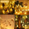 PACKIFY 10 LED Photo Clips String Fairy Lights Battery Operated for Room Decoration. 