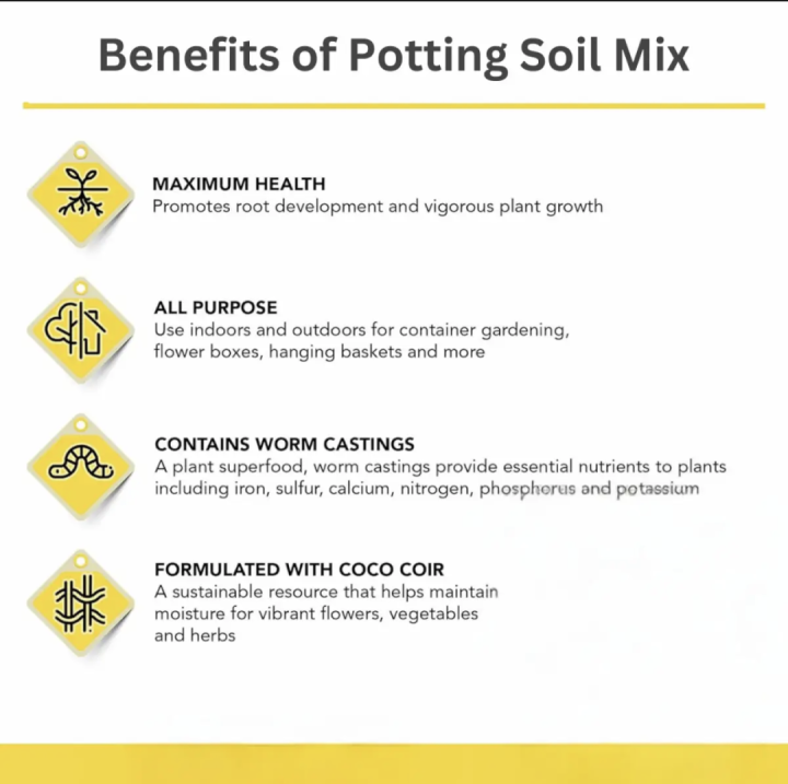 Soilless%20Potting%20Mix%20for%20Seeds%20Starter%20-%20Cocopeat%20,%20Vermi%20compost,%20Perlite%20Pack%20of%201,2,3,5Kg%20-%20Image%203