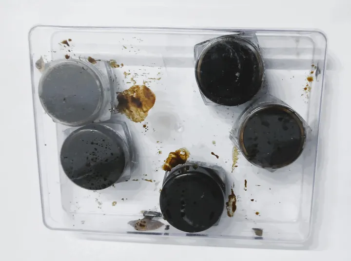 Top%20Quality%20100%25%20Pure%20from%20Pakistan%20Gilgit%20Sala%20jeet%20Himalayan%2010gm%20-%20Image%205