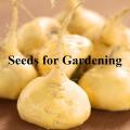 50 Seeds Maca_(lepidium meyenii,Peruvean Ginnseng)Men Boosting energy, its powder is a popular supplement among bodybuilders and athletes. 