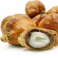 Doum fruit/Zuriat fruit/Nabi Booti Phal-50gram. 