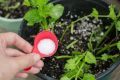 Epsom Salt For Plants 500 Grams Pack - Natural Mineral Fertilizer - Epsom Salt Bath (PAKISTAN MADE). 