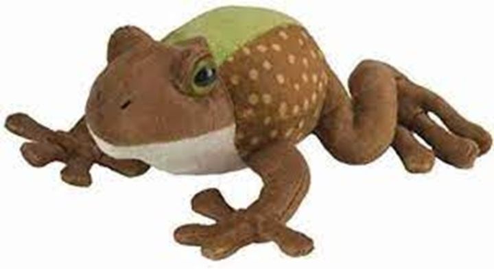 Talking%20Frog%20Stuffed%20Soft%20and%20Plush%20toy%20(8%20inches)%20-%20Image%202