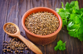 Dhaniya | Coriander Seeds - دھنیا خشک | Dhanya 125 Grams | Dhania Sabut - 125g. 