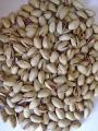 250 grams - Pistachio Salted ( Pista Namkeen ). 