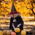 ECHIDNA Dark Witch Hat Large Brim Witch Hat with Lace Spider Web Design for Halloween Cosplay Party Buyers' Favorite Mesh Decorated Witch Hat. 