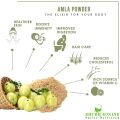 Shudh Online Amla Powder for Hair Growth, Amala Powered (100 Grams), Nellikai, Aawla, Aamla, Amloki, Usirikaya, Gooseberry. 
