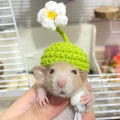 Handmade Knitted Hat Hamster Funny Headwear Chipmunk Guinea Pig Hamster Accessories Hamster Toy Hamster Supplies Small Pet Hat. 