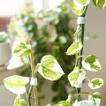 Data Cable Tape Durable Portable Cuttable Garden Tree Strap. 