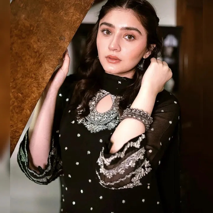 HS%20Fashion%20-%203%20Piece%20Embroidered%20Traditional%20Unstitched%20Suit%20For%20Women%20/%20Unstitched%20Fabric%20For%20Women%20/%20Dress%20For%20Girls%20/%20Fancy%20Suit%20For%20Women%20&%20Girls%20/%20Chiffon%20Suit%20&%20Dupatta%20-%20Ladies%20Chiffon%20Crinkle%20Embroidered%20Black%20Shalwar%20Kameez%20HS-197%20(Unstitched)%20-%20Image%202