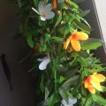 Luau Leis 3 Pcs  Flowers Tropical Hawaiian Lei Leaf Necklaces for Hula Costume and Beach Party. 