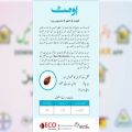 Bed Bugs Control 24G Guaranteed Result Pest Solution Bed Bugs. 