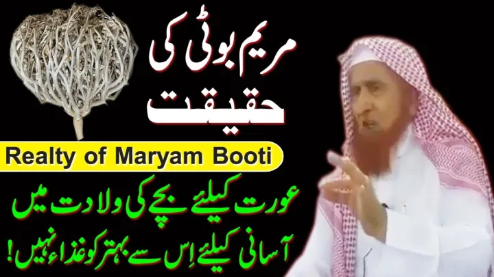 Maryam%20Booti%20Mayam%20panja%20Flower%20of%20Maryam%20-20g%20-%20Image%203