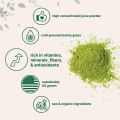 Micro Ingredients Organic Barley Grass Juice Powder, 100g Cold Pressed, US Grown, Rich in Immune Vitamin, Fibers, Minerals, Antioxidants and Protein, Support Immune System and Digestion, Vegan. 