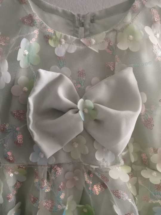 Eid%20Special%20Elegant%20and%20Fancy%20frock%20for%20baby%20girls%20Light%20Green%20Floral%20Net%20Frock%20with%20Matching%20Hairband%20&%20Trouser%20%E2%80%93%202-3%20Years%20Baby%20Girl%20Dress%20-%20Image%203