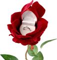 Elegant Red Rose Flower Ring Box. 
