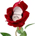 Elegant Red Rose Flower Ring Box. 