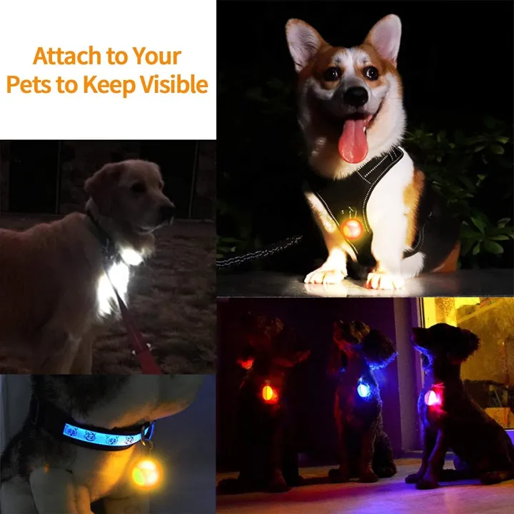 morpilot%20Dog%20Cat%20Collar%20Light,%206PCS%20Colorful%20Clip-On%20Dog%20Lights%20for%20Collars%20Waterproof%20Safety%20Pet%20Light%20for%20Night%20Walking%20with%203%20Flashing%20Modes%20-%20Image%206