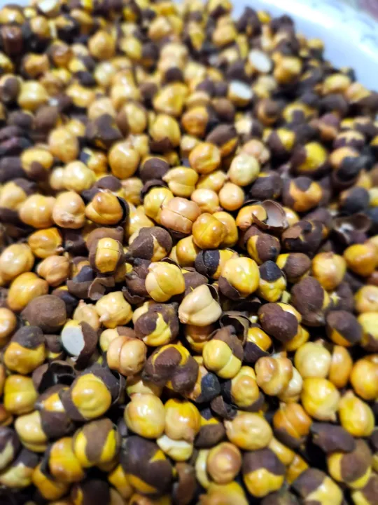 1kg%20roasted%20chickpeas%20Bhuna%20chana%20with%20shell%20high%20quality%20roasted%20chana%20-%20Image%203