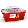 Appollo Clear Lock Storage Box (S). 