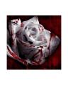 Rarest White Blood Rose Flower Seeds. 