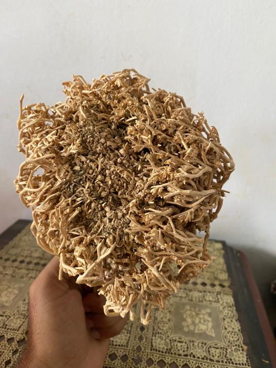 Maryam%20Booti%20100%20gm%20-%20Image%205