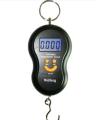 50kg x 10g Portable Electronic Scale Weight Luggage Scale Digital Travel Hanging Scale With LCD Display With Blue Backlight. 