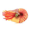 Nebula Supreme Deep Sea Animal Figures Rust-proof Educational Learning Toy Nautilus. 