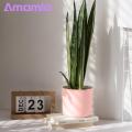 Heavy Duty Flower Pot Stylish Durable Flower Pot with Drainage Holes for Indoor Outdoor Gardening Perfect for Succulents Herbs Vegetables. 