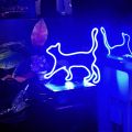 Neon LED Light Cat shape Sign decoration light beautiful design for home and gifting item. 